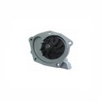 واتر پمپ مگان کرنگو (KERENGO) اصلی